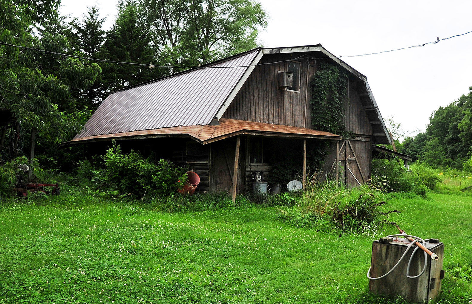 Dice, Kathy-barn